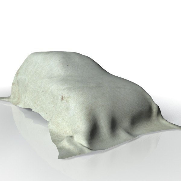 car max - covered hatch back by shadesofreal